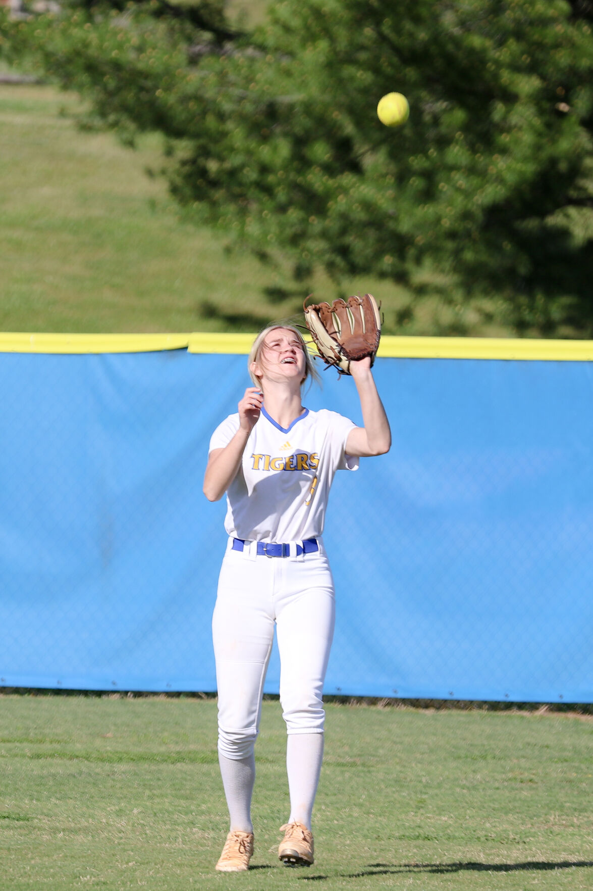 Softball (2) - Copy.jpg